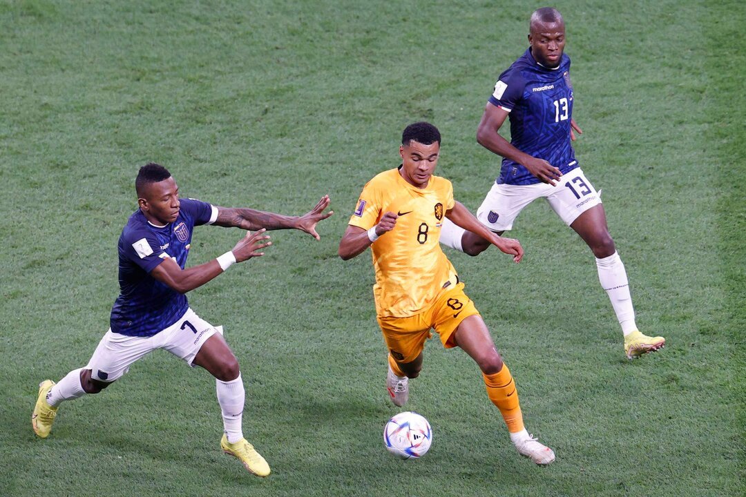 Cody Gapko (C), de Países Bajos, en acción durante el partido que su selección empató (1-1) ante Ecuador este viernes, en Catar.EFE/EPA/Rungroj Yongrit